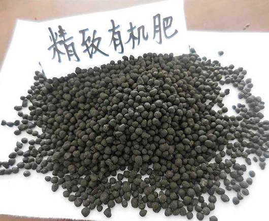 03e9a504ddfeb93303743a9df996990a 有机肥料过量施用的预防措施