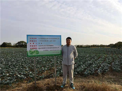 553468d5c7c2fb1a2e322c0e9c766412 复合专用肥必要出产许可证吗