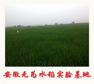 f098e858e1b8cad1b19756a099bf5fcd 有机复混肥出产流程介绍
